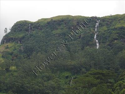 Surrounding 06