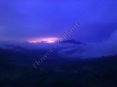 Scenery 10