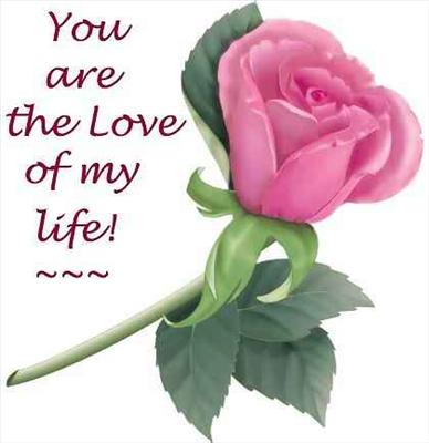 my love for you