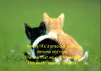 Friendship