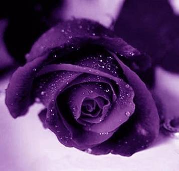 Love, Magic and Fantasy