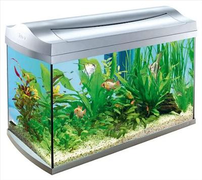 Aquarium