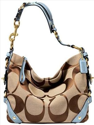 Ladies bag