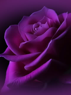 for you