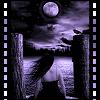 dark