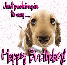 Happy Birthday Friend