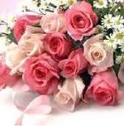 white n pink roses