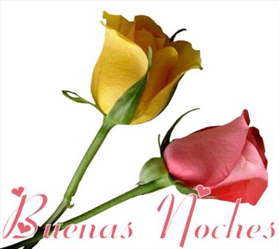 Buenas Noches !!!