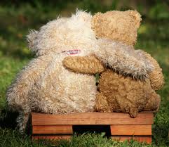 teddy bear