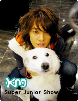 Donghae