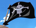 Whitebeard Pirates