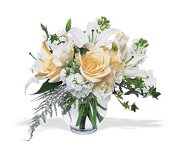 white rose