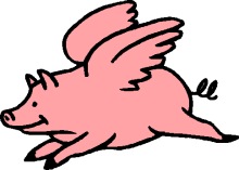 Flying piggy :)