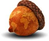 Acorn