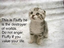 Fluffy
