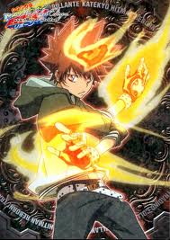 Sawada Tsunayoshi