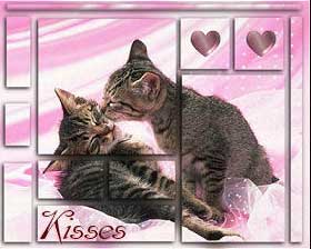 kiss  miao