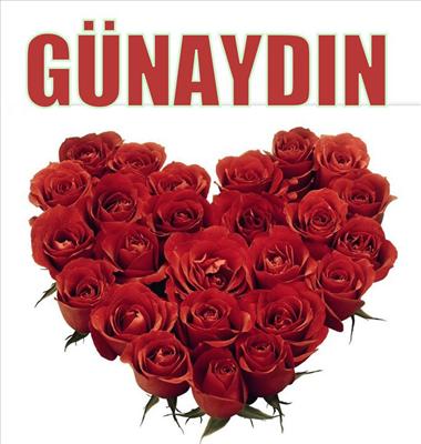  G Ü N A Y D I N 