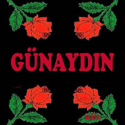 GÜNAYDIN