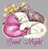 good night