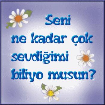 Seni Sevdiğimi biliyormusun?