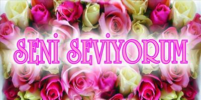 Seni Seviyorum 2