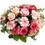 hot rose