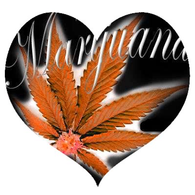 Orange Weed Heart