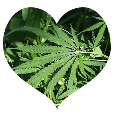 Have a nice day heart