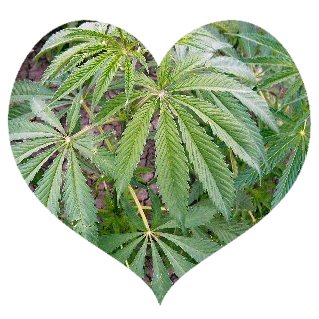 420 Time Heart
