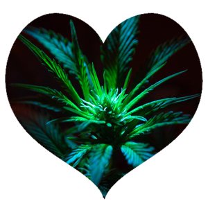 Cool 420 Heart