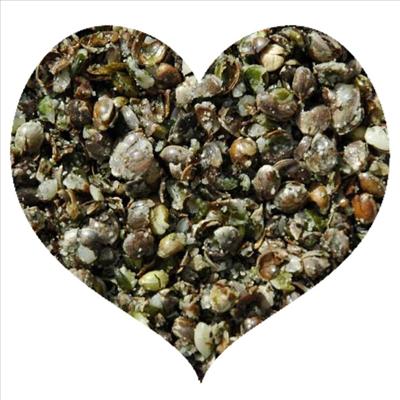 Seedy Heart