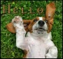 Hello