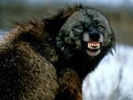 GRR i love you!