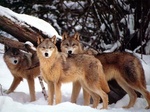 Group Hug