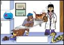 A Good Vet