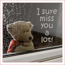 miss  u teddy