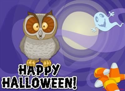 Owl Card