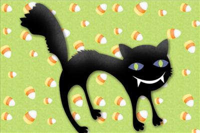 Black Cat
