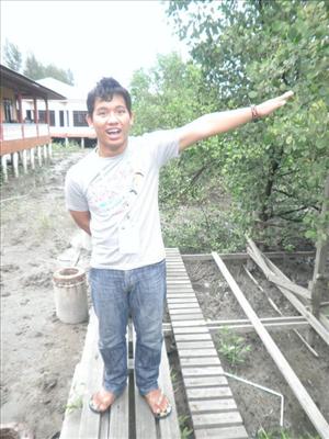 seekor lembu