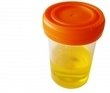 Clean Urine