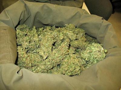 Sack O Joy!
