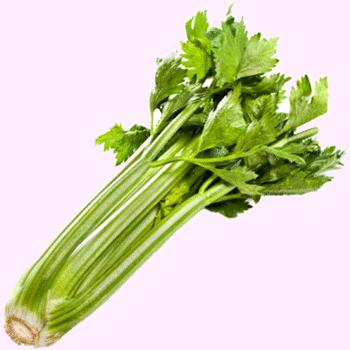 Celery