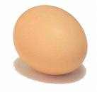 House Egg
