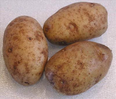 Potatoes