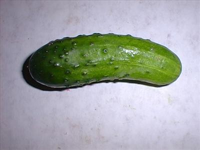 Pickles