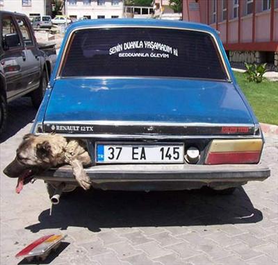 sönüksün