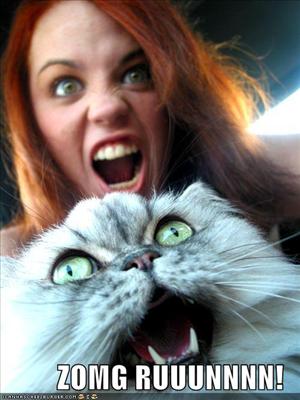 OMG...RUN