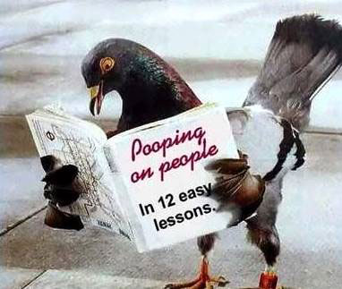 Pooping on people