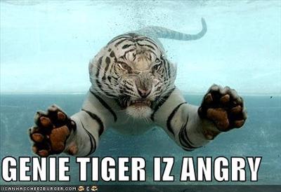 Angry Tiger